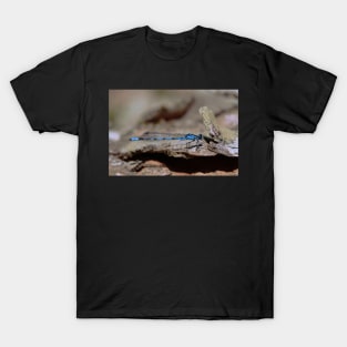Common blue dragonfly T-Shirt